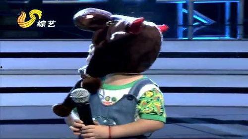 明星宝贝张俊豪大全,明星宝贝的成长之路