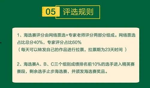 网站分享每日大赛怎么做,轻松掌握赛事动态，激发竞技热情