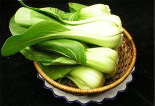 贝贝瓜能和油菜一起吃吗,健康饮食新选择