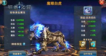 金曜白虎爆料视频大全集,揭秘幕后真相与精彩瞬间